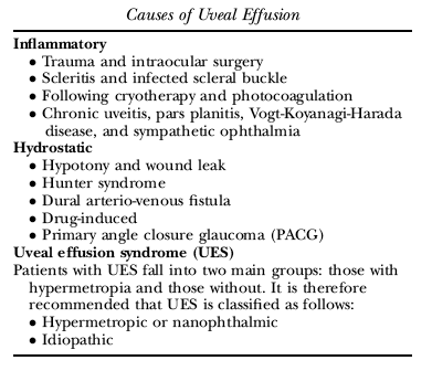 Table 1. From Elagouz M, Stanescu-Segall D, Jackson TL. Uveal effusion syndrome. Surv Ophthalmol 2010;55:134-145.